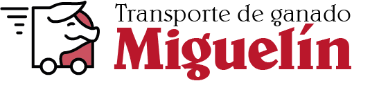 logo - transportes miguelin