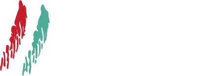 logo - Transportes Luelval