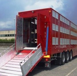 Transportes de ganado vivo transportes Luelval